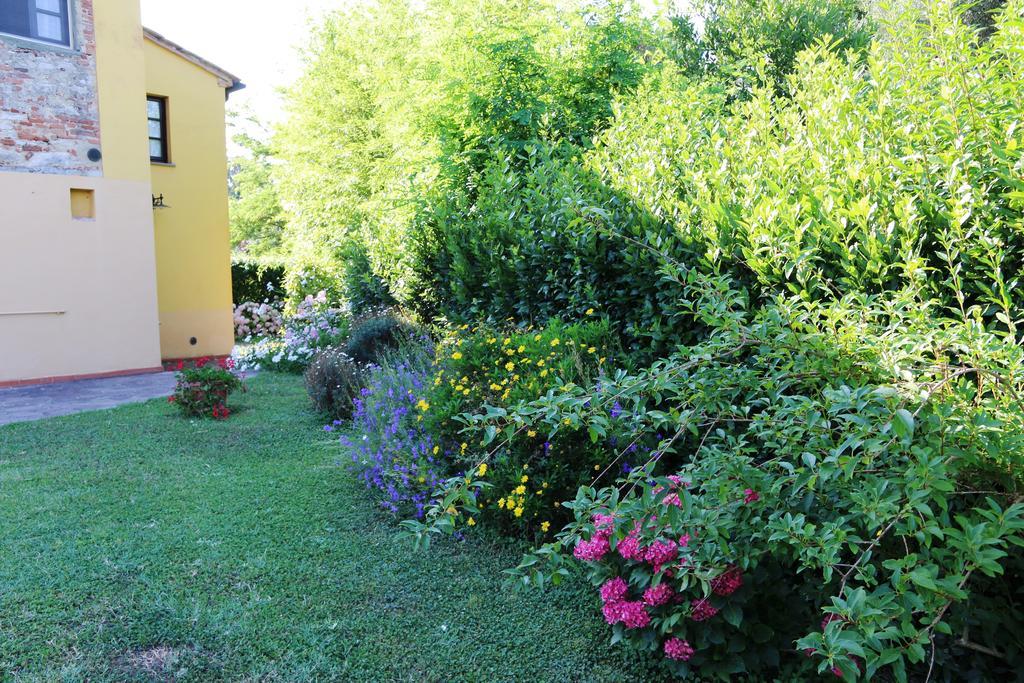 Agriturismo Poggio Al Tesoro Crespina Eksteriør bilde